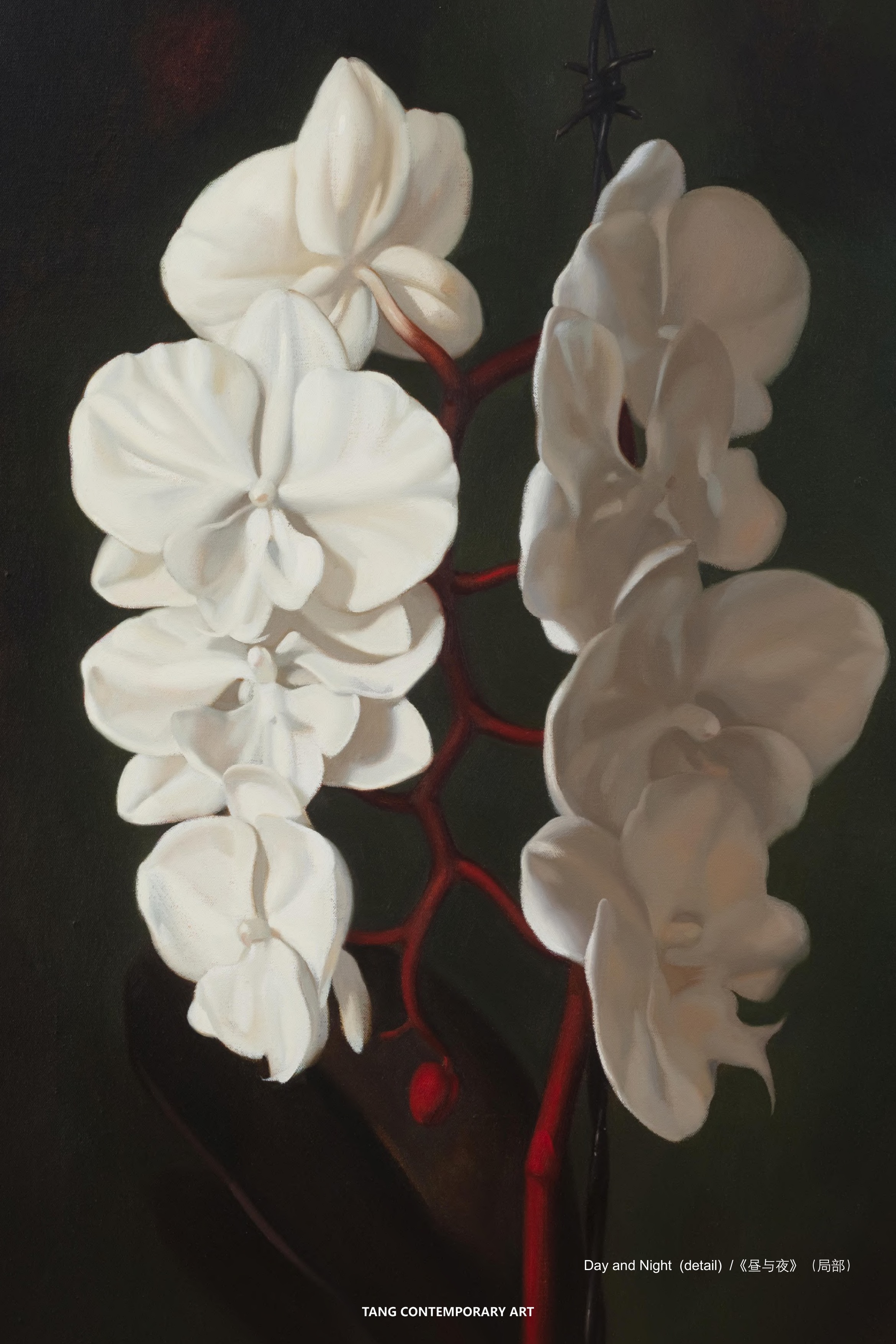 个展 衔尾之谕《昼与夜（局部）》
