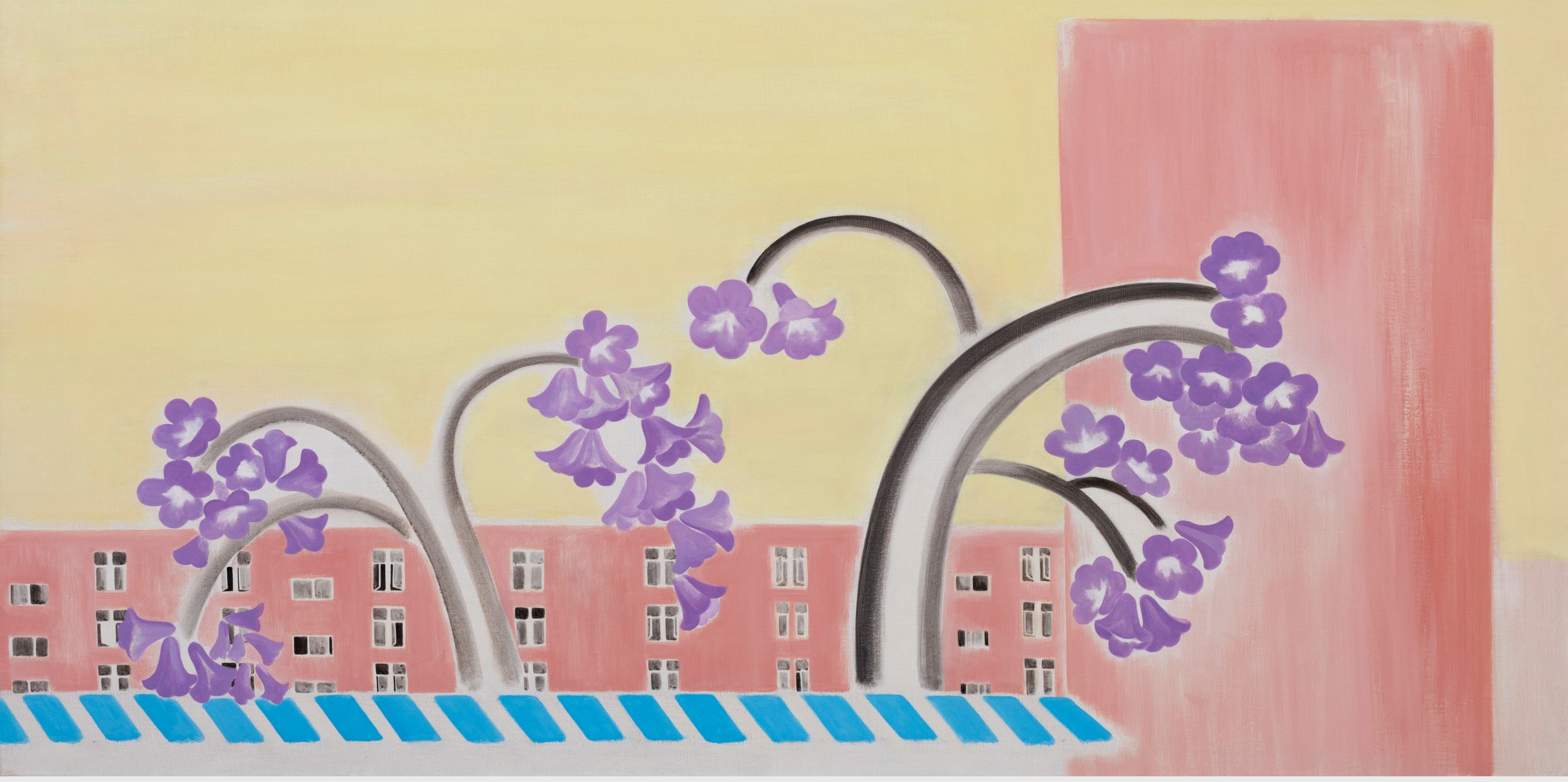 田田个展“画”《泡桐花》