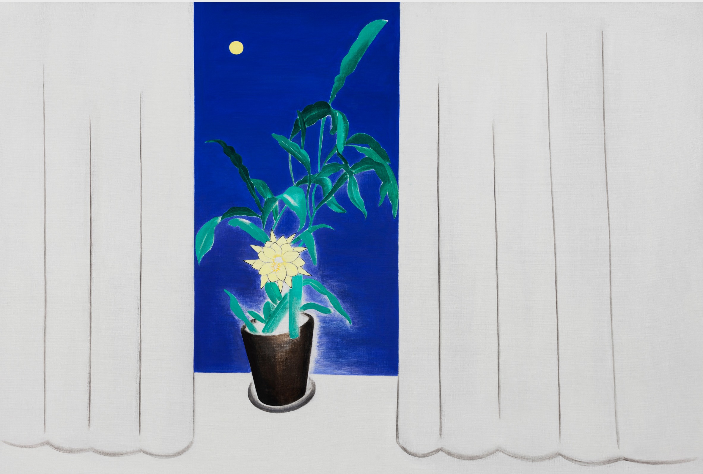 田田个展“画”《昙花》
