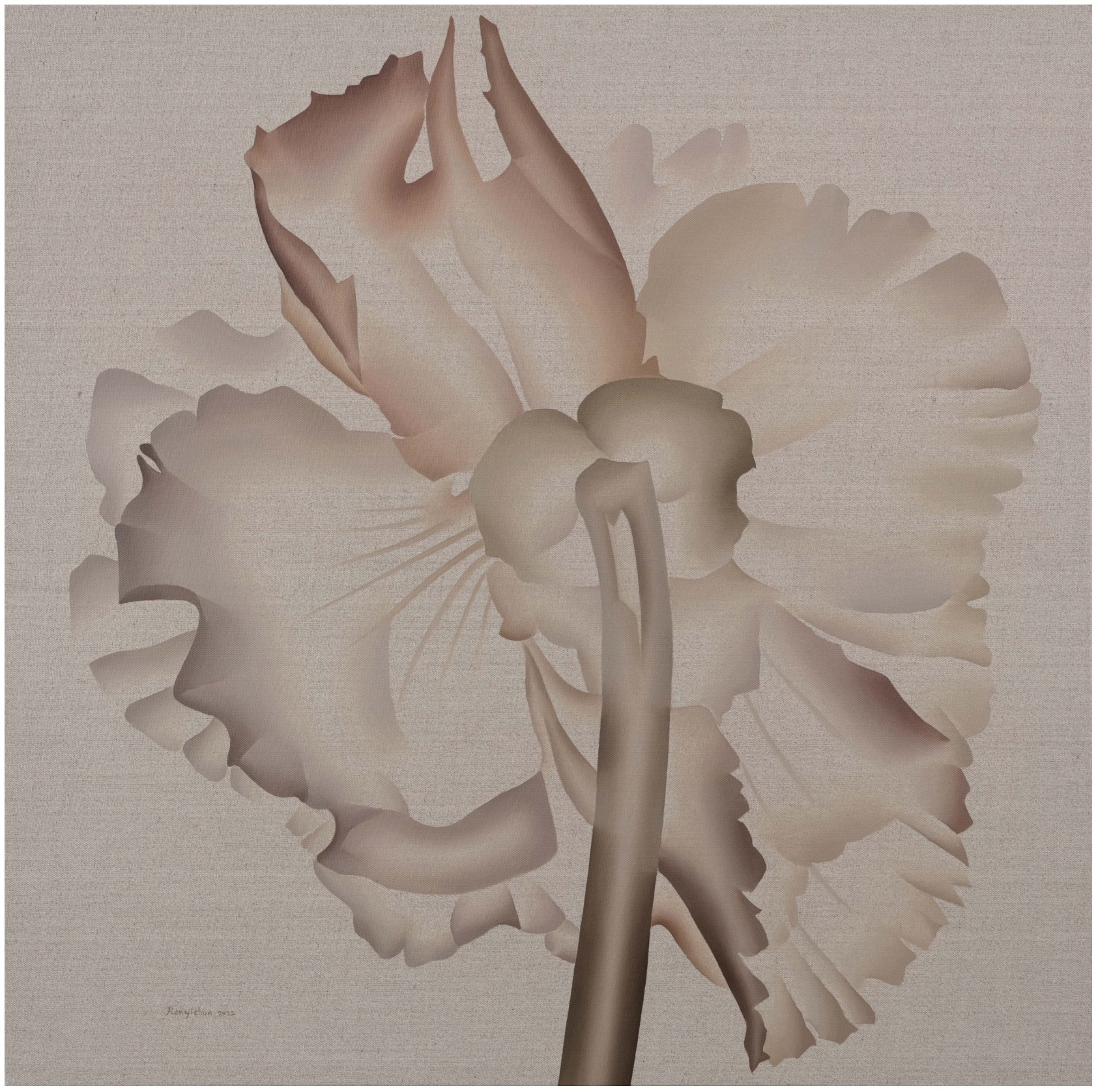 相遇与凝视《Flowers from Irvingpenn 1》