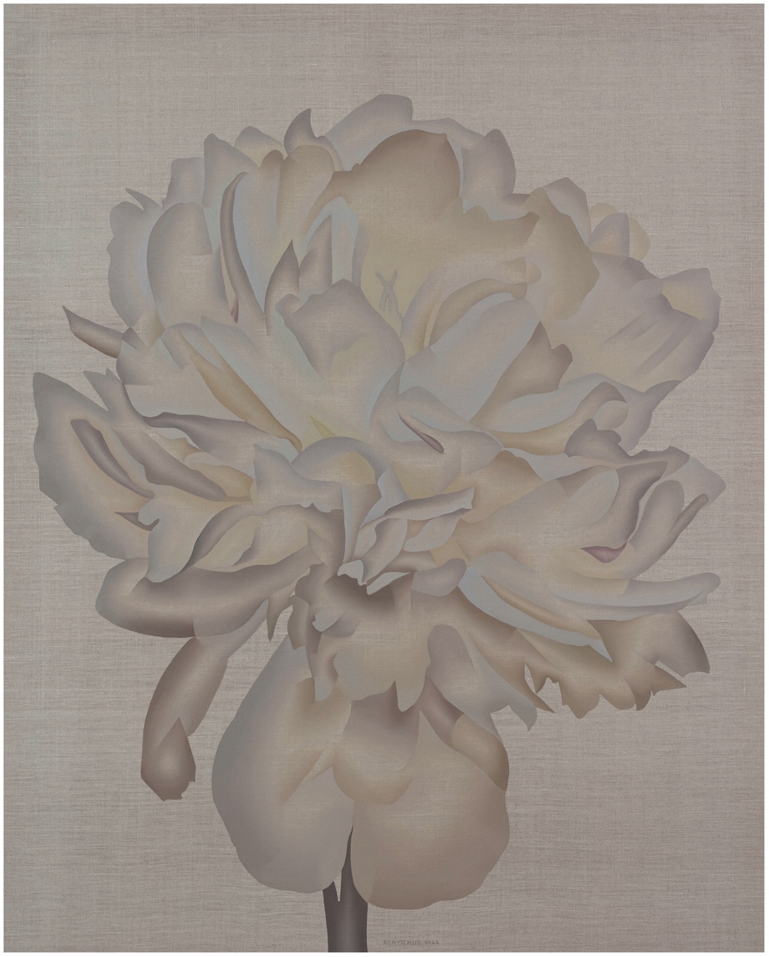 相遇与凝视《Flowers from Irvingpenn 3》