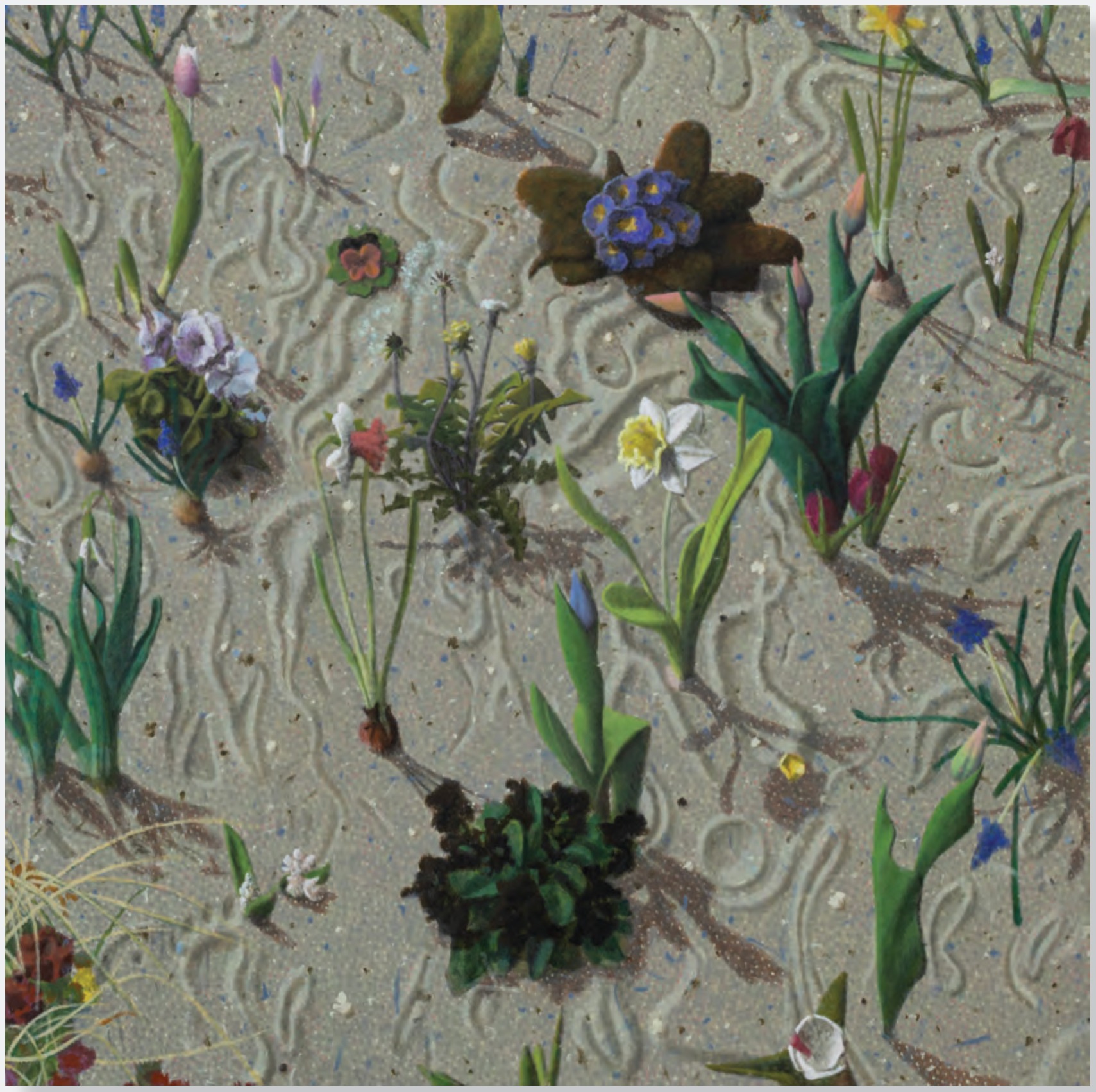 个展 梦途《缀花草坪 II》