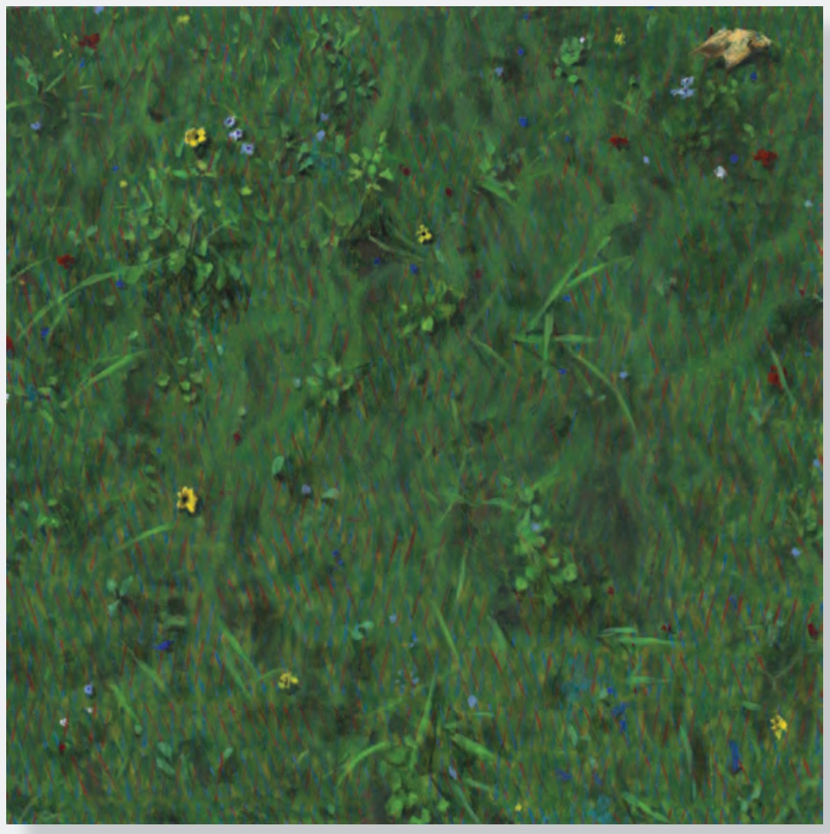 个展 梦途《缀花草坪》