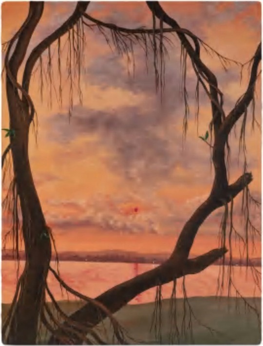 摇曳《夕阳下纠缠的小榕树》