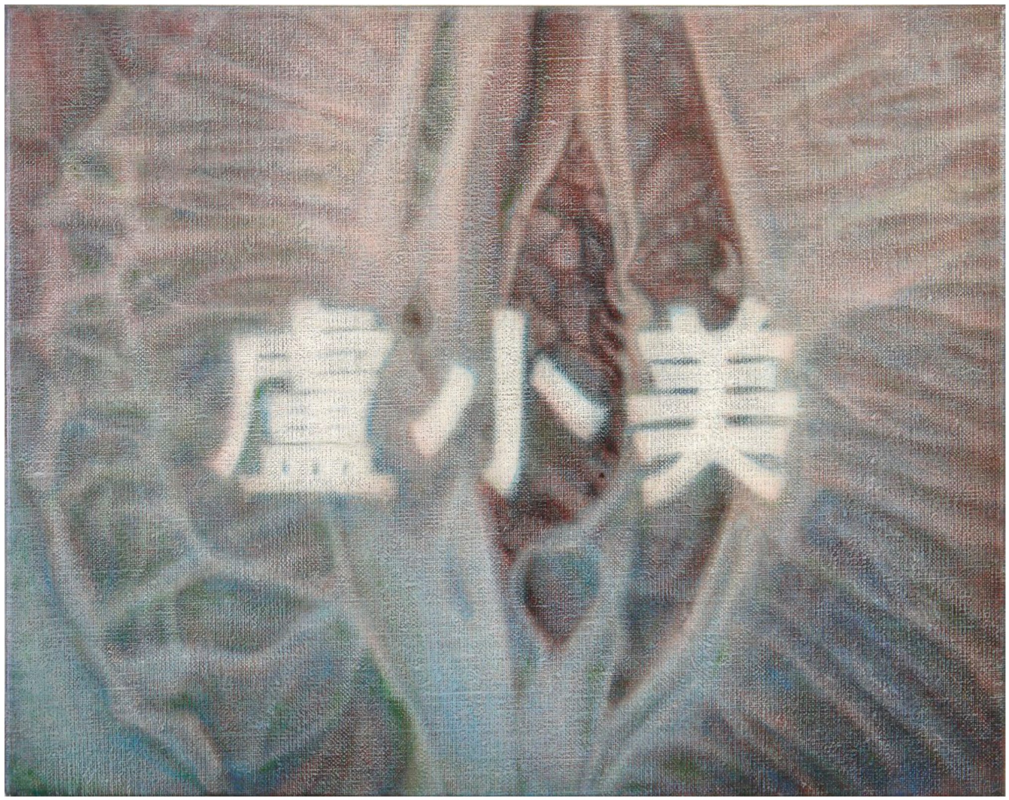 南风《第一章:卢小美》