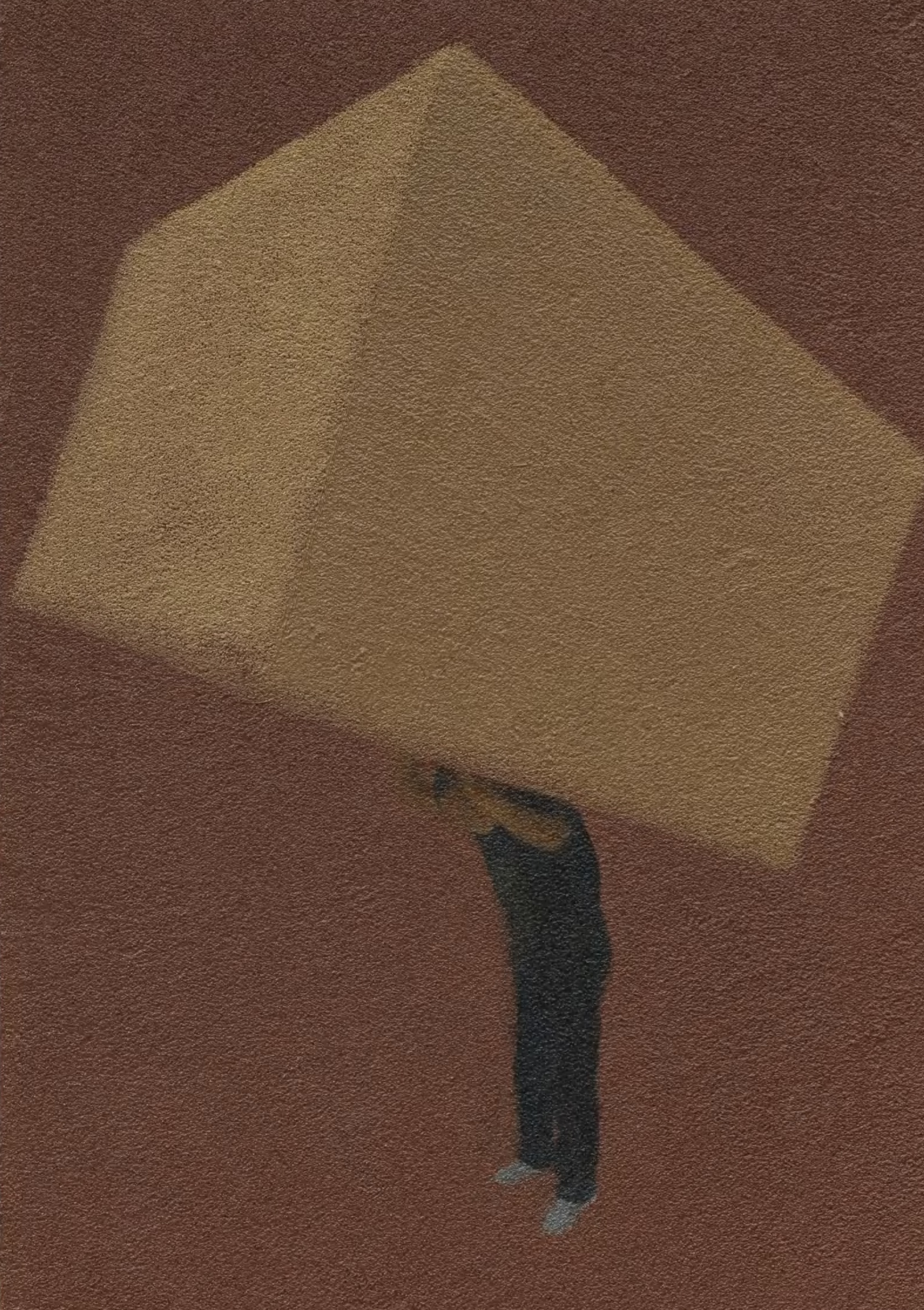 张新军《盒子》