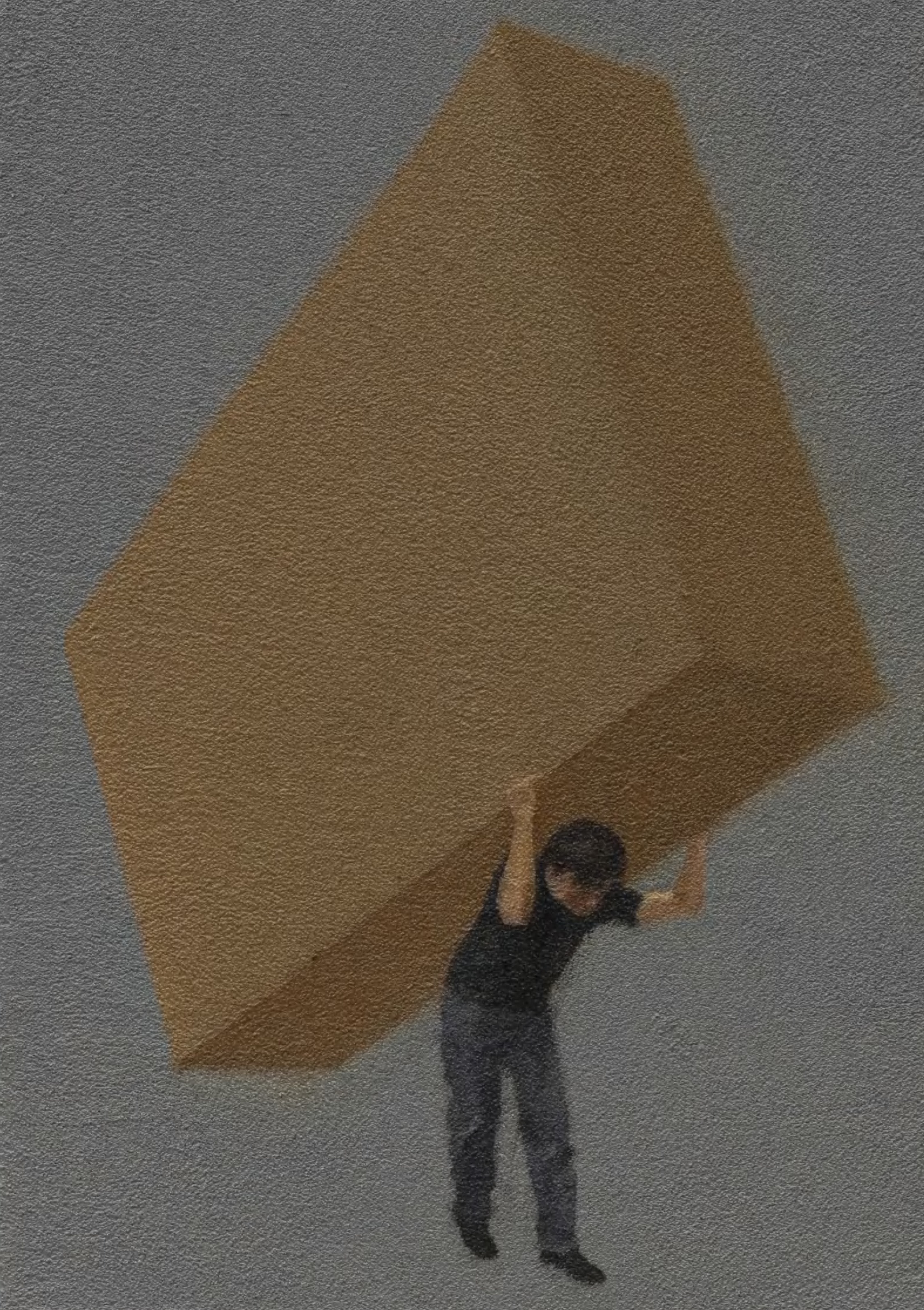 张新军《木柜》