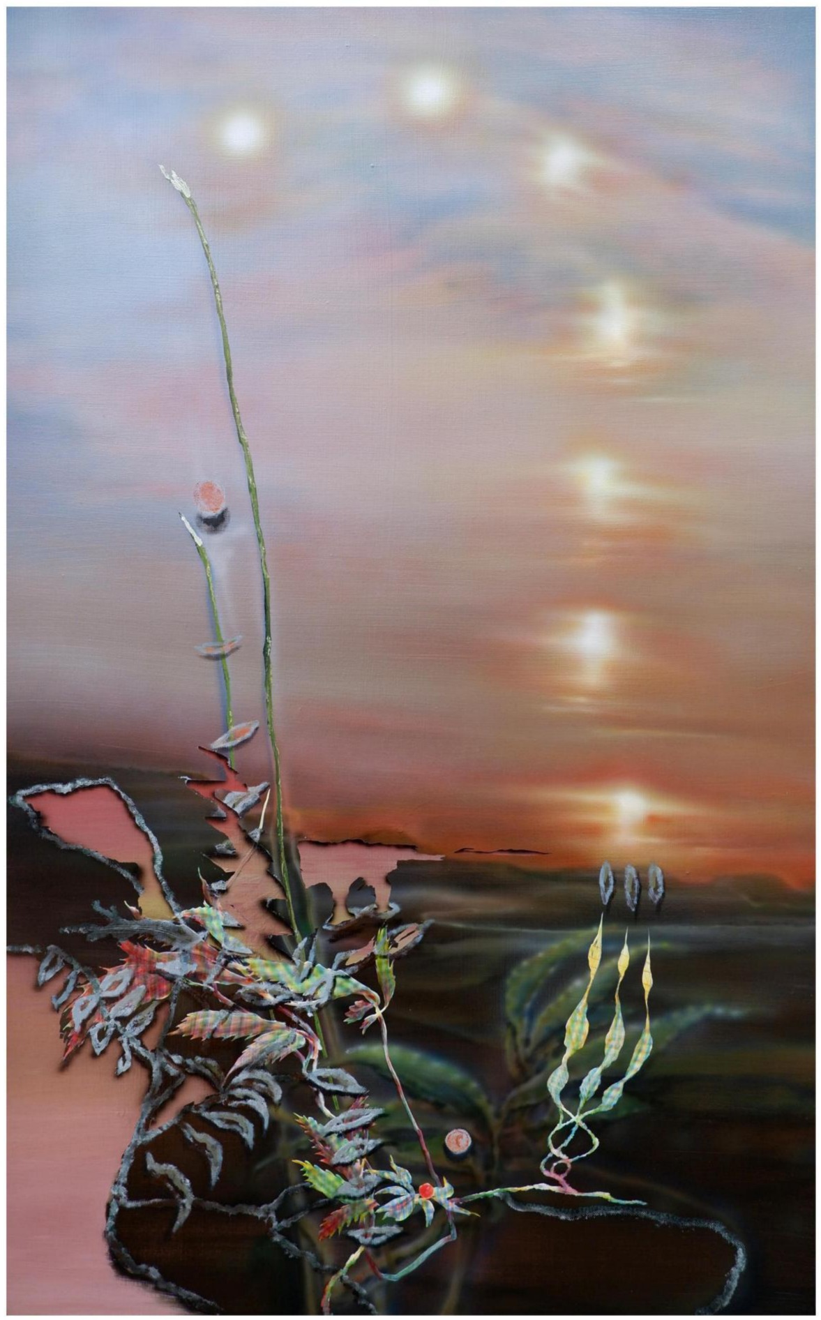 包锐《下落的夕阳与三个时空的灌木丛》