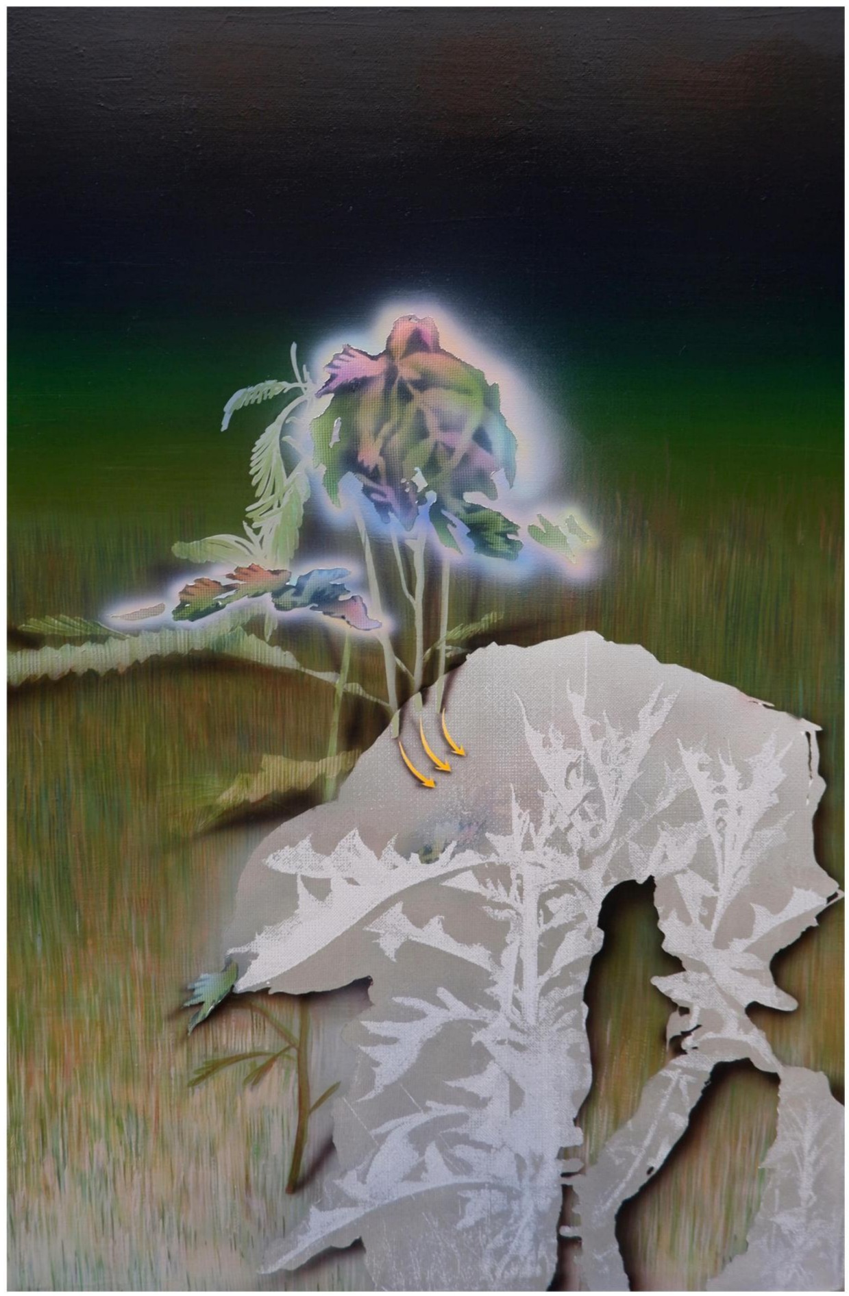 包锐《闪光的田菁草》