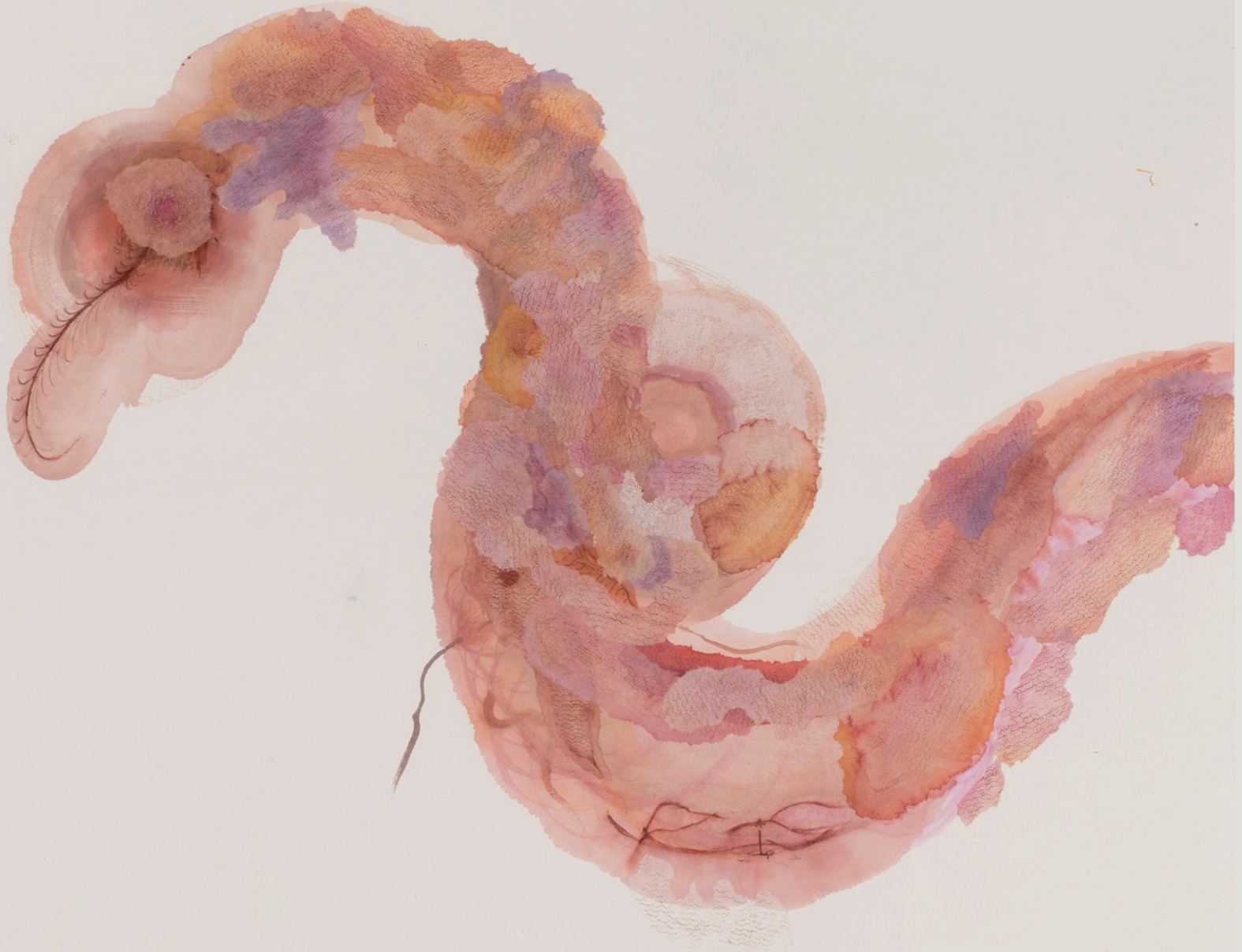 解群《女娲蜕 - 长生》123x123cm 2025