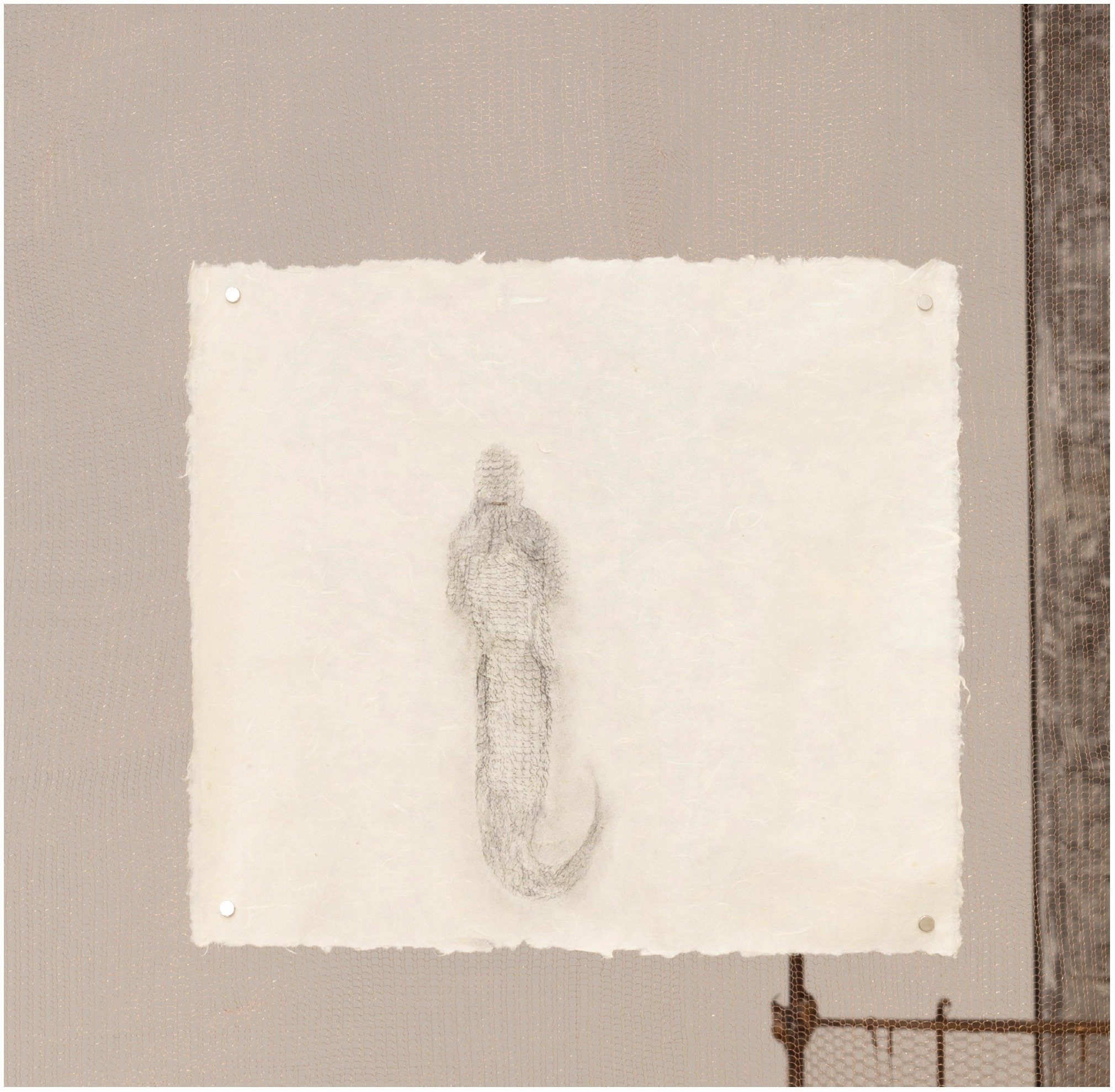 解群个展- 抟女娲《女娲蜕 - 网衣》