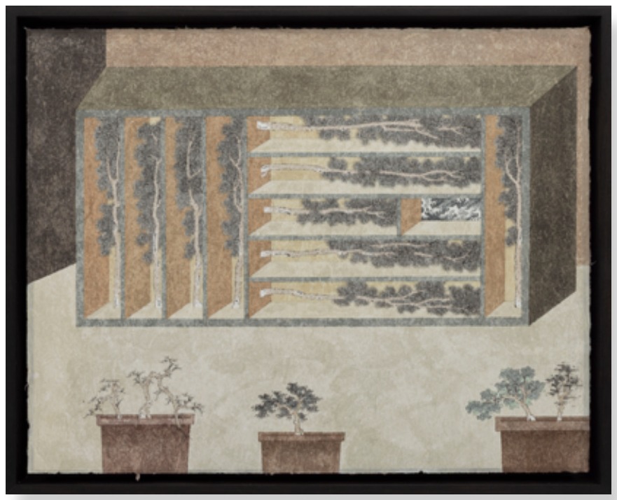 沈君怡《藏松》