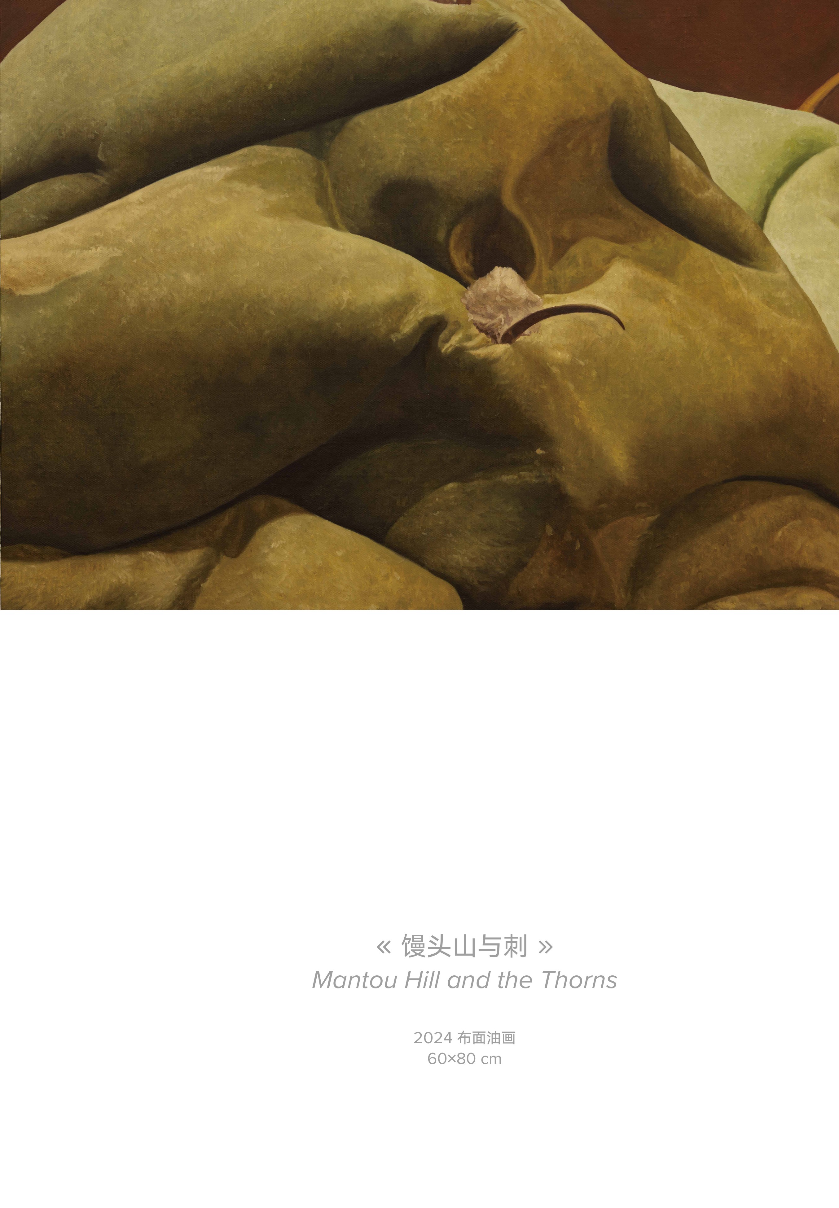 植腑 翼图《馒头山与刺》