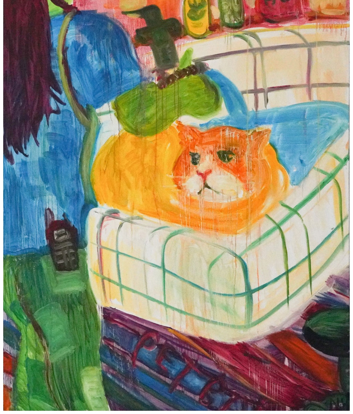 异想漫游记《猫的磨难》
