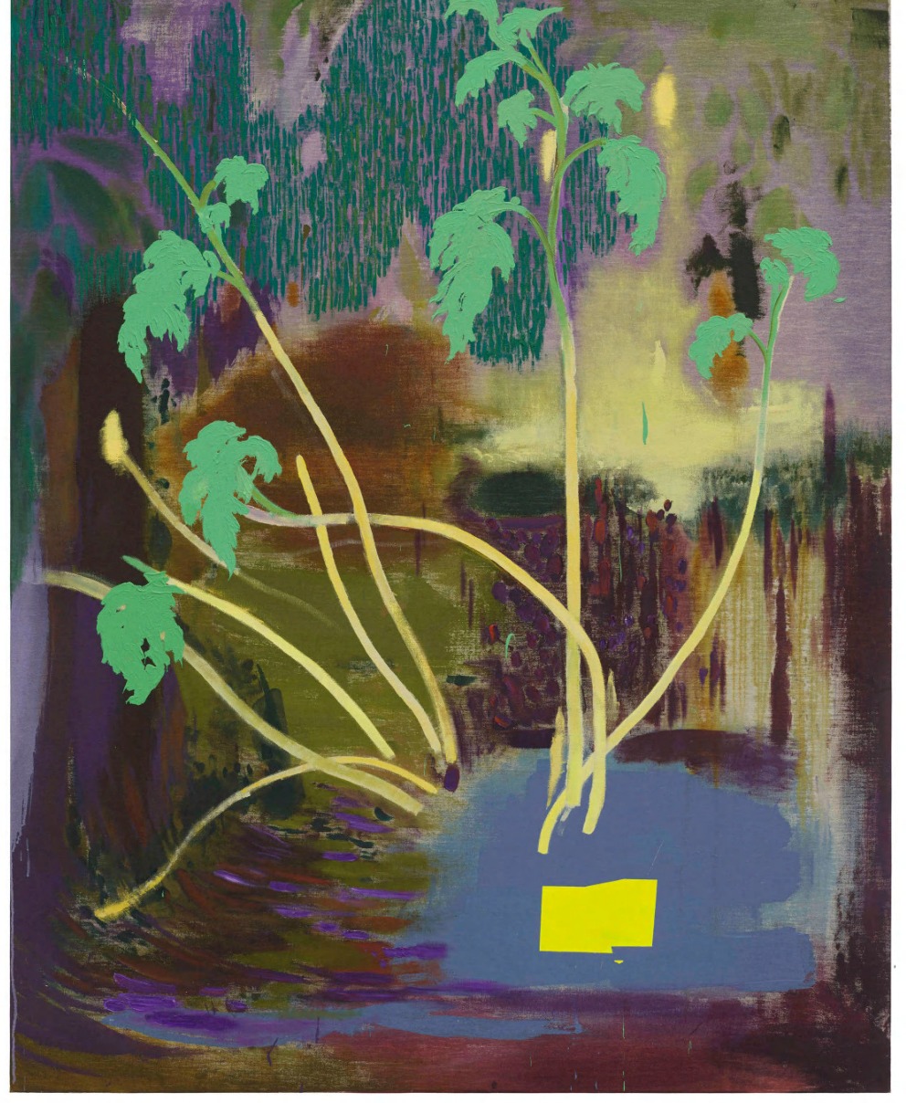个展：逍遥《三月 No.1》