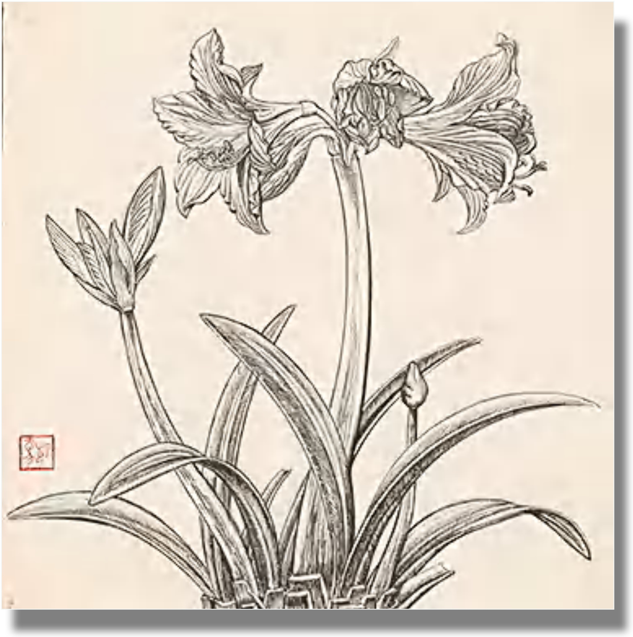 祝大年《鸡蛋花》