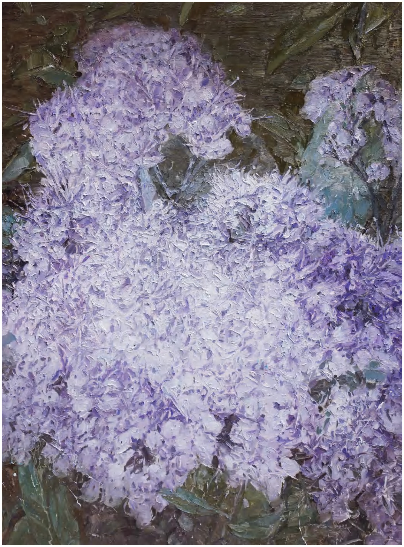 无形的欲望《繁花》