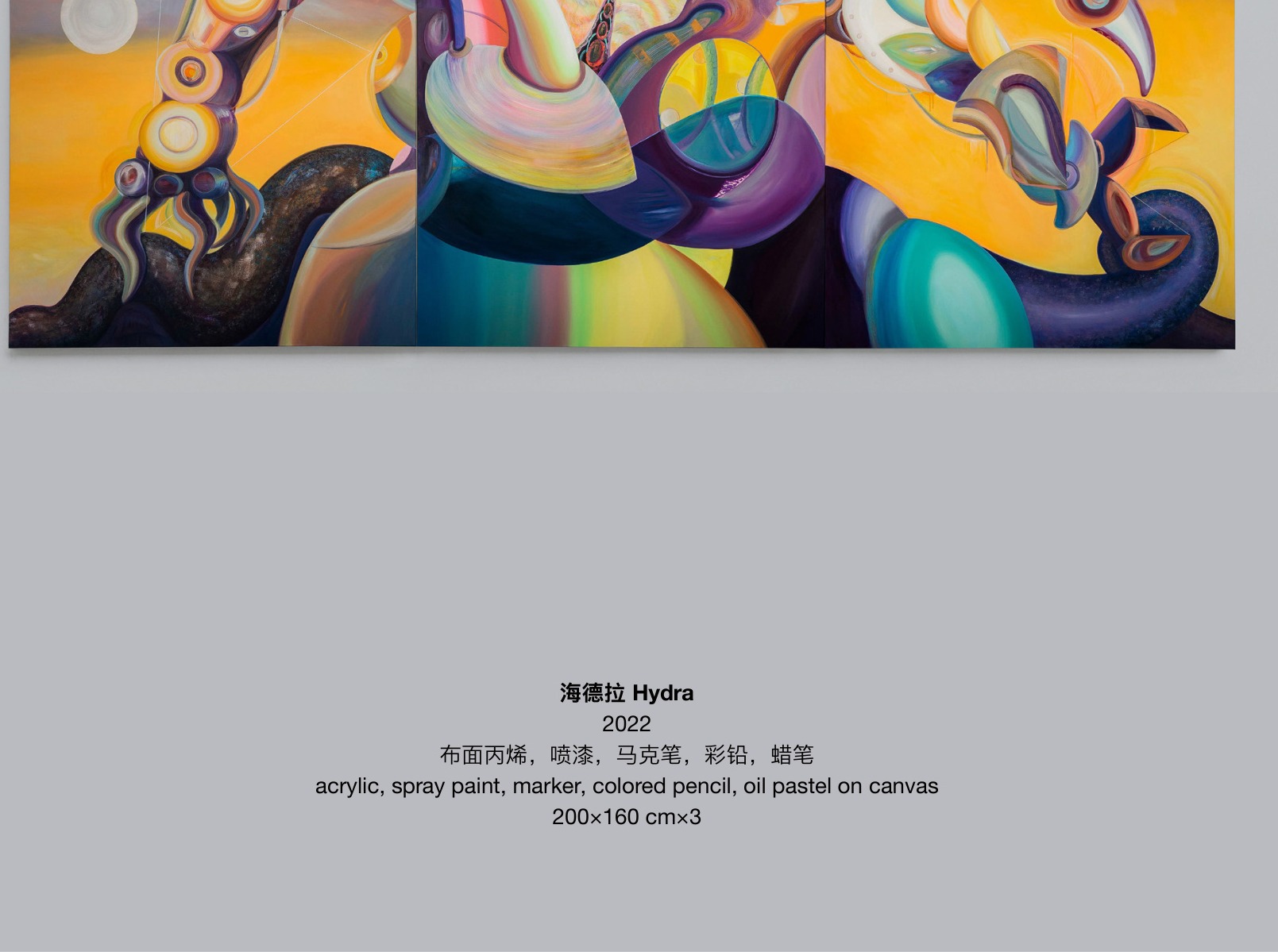 怪兽之腹《海德拉》