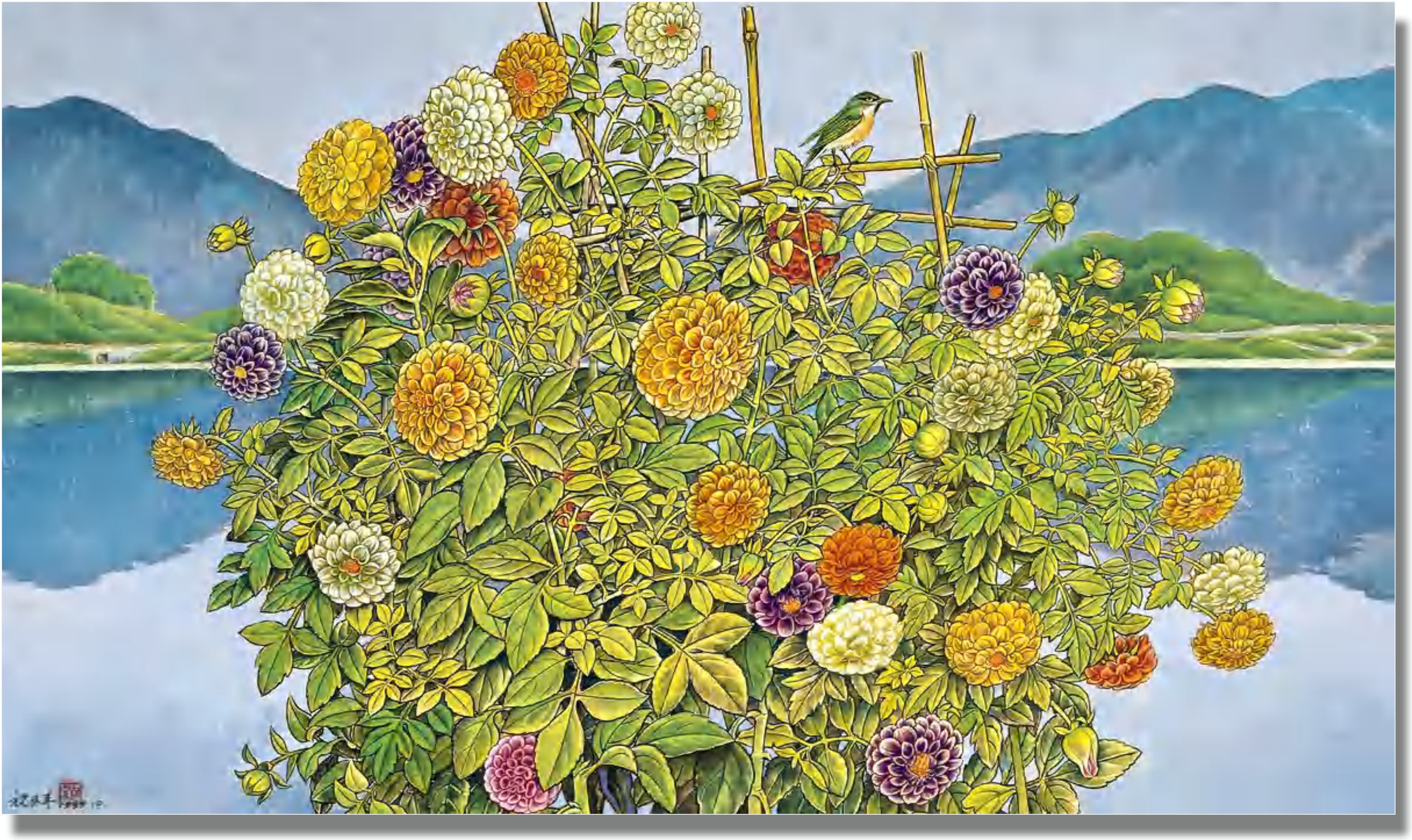 祝大年花谱 永恒芳华《大理菊》