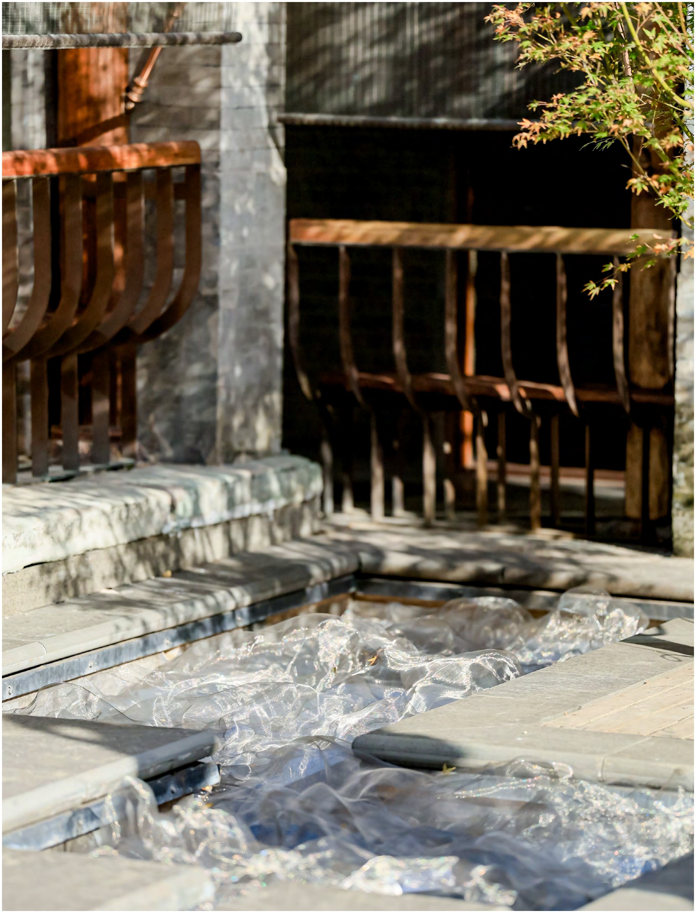 秩序,气流《冬花》