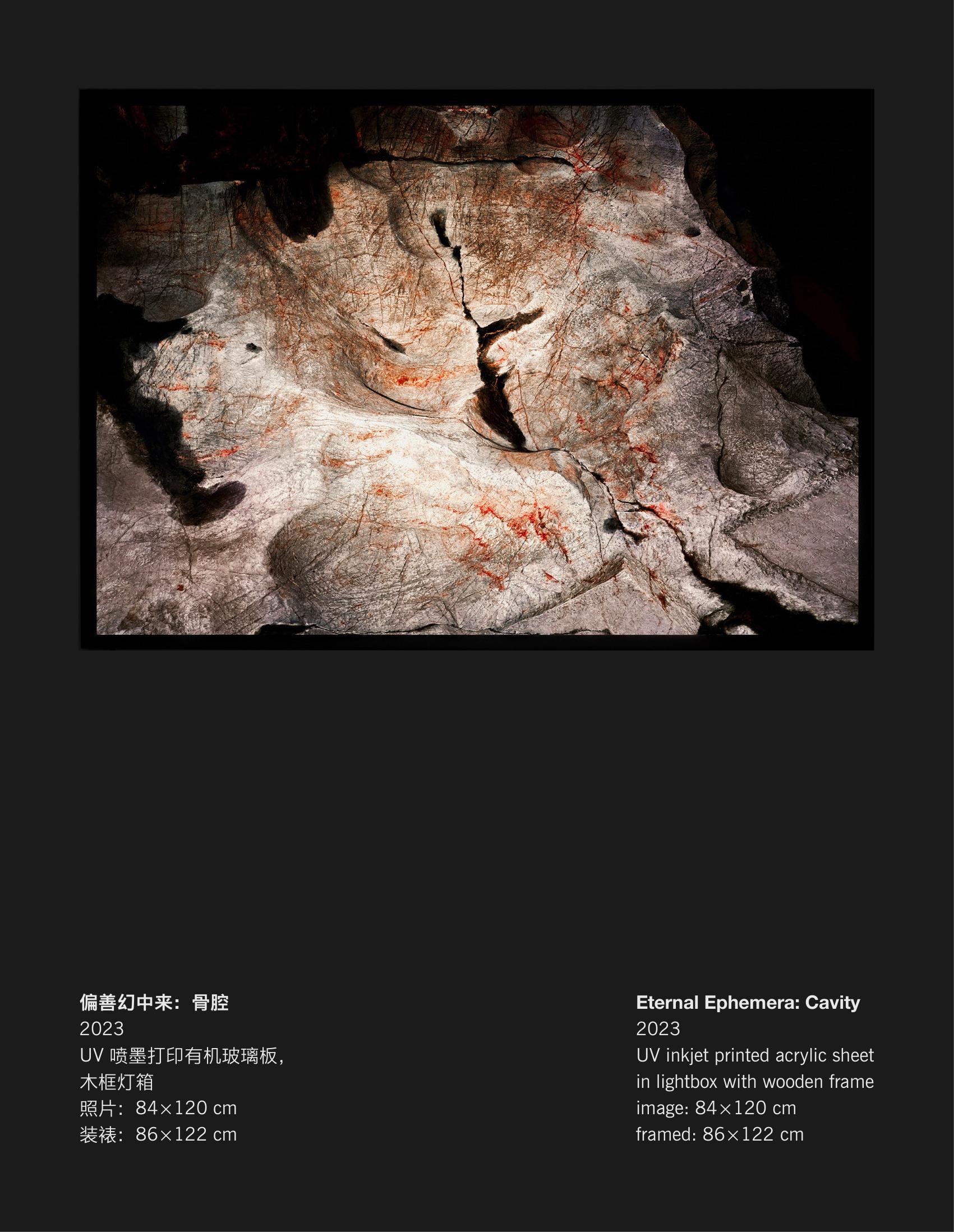 陈哲《偏善幻中来:骨腔》