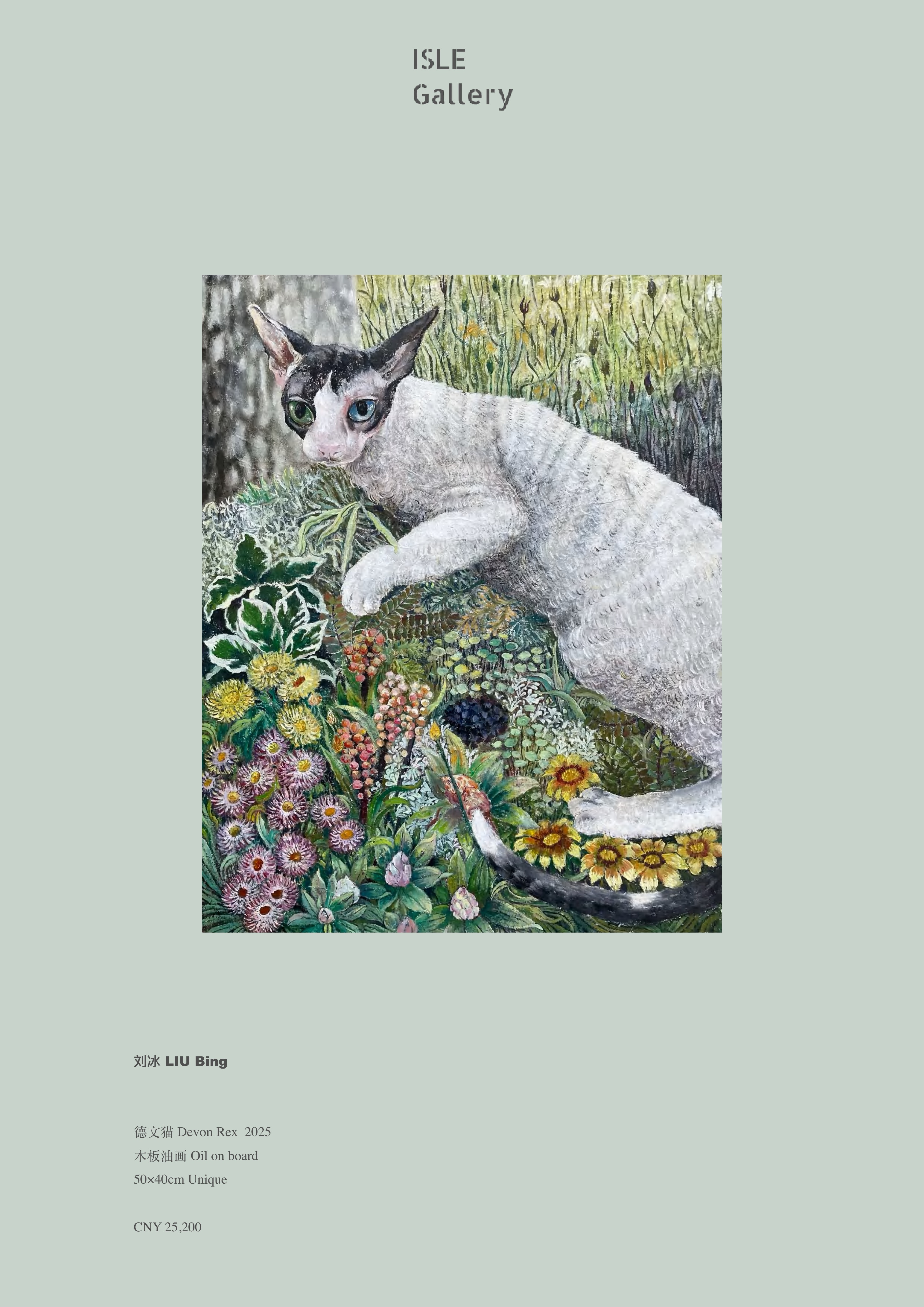 荒原，不是荒原《德⽂猫 Devon Rex》