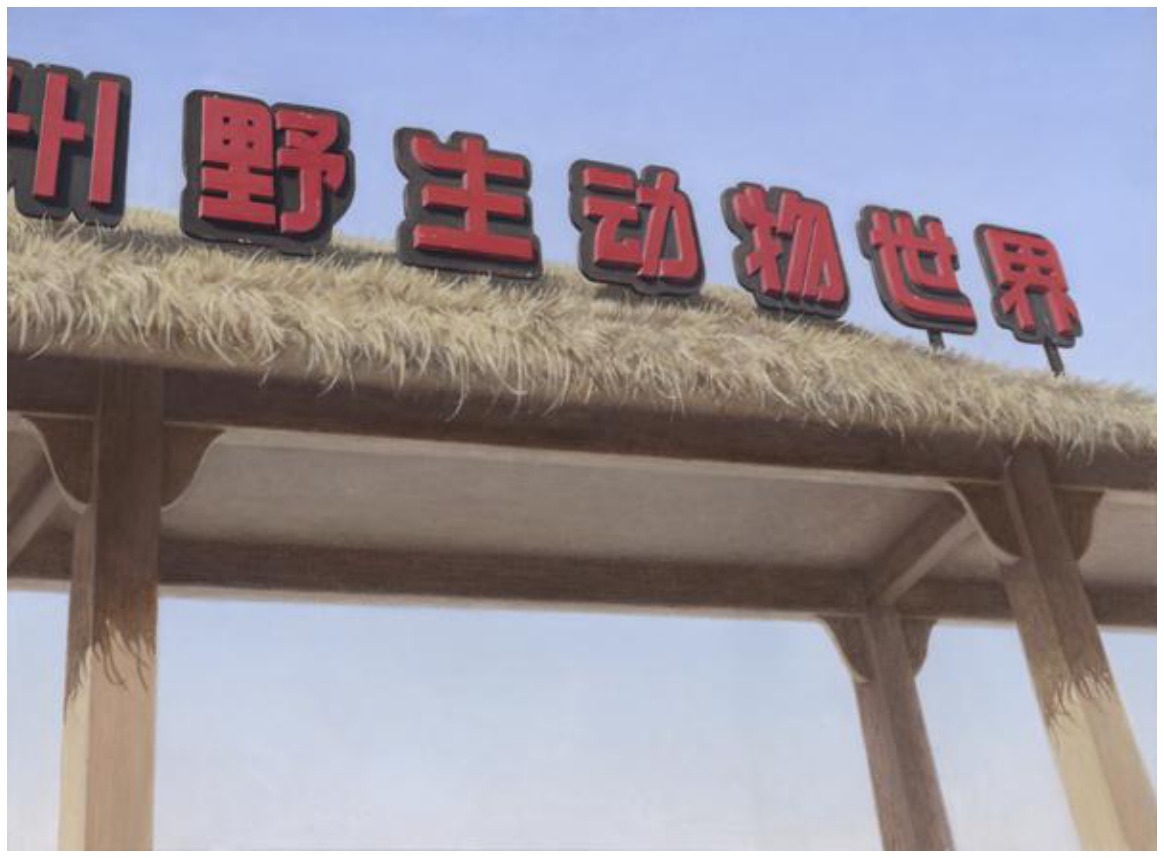 叶庆·《野生动物世界》