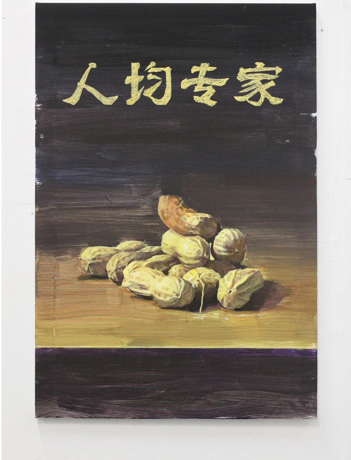 葡萄军舰《人均专家》