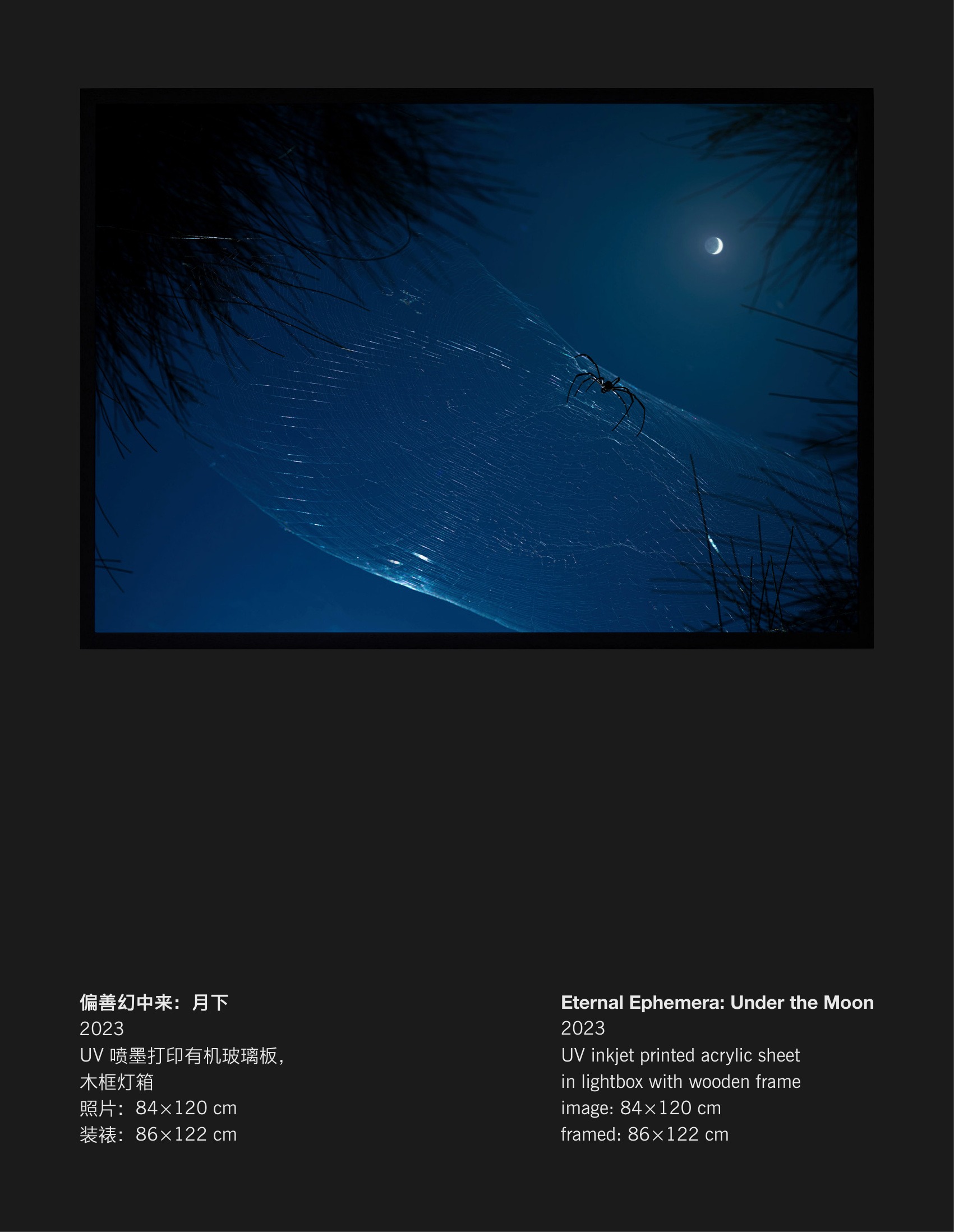 陈哲《偏善幻中来:月下》