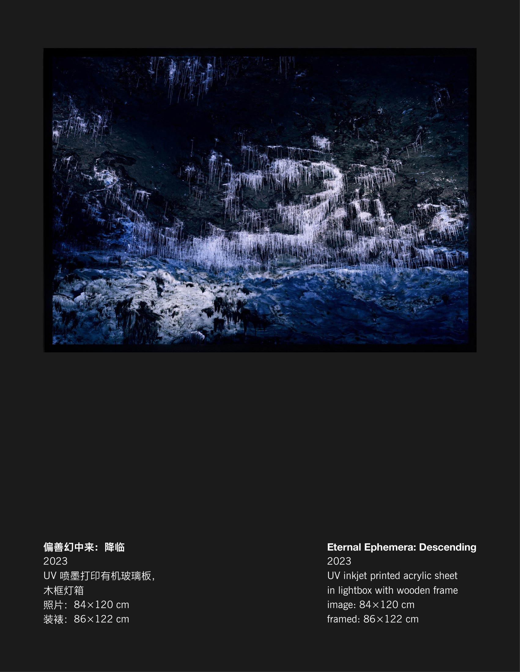 陈哲《偏善幻中来:降临》