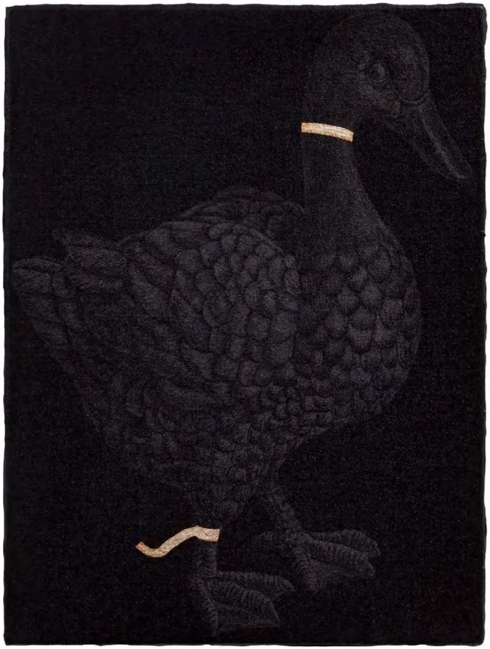 关伟伟《鸭子》