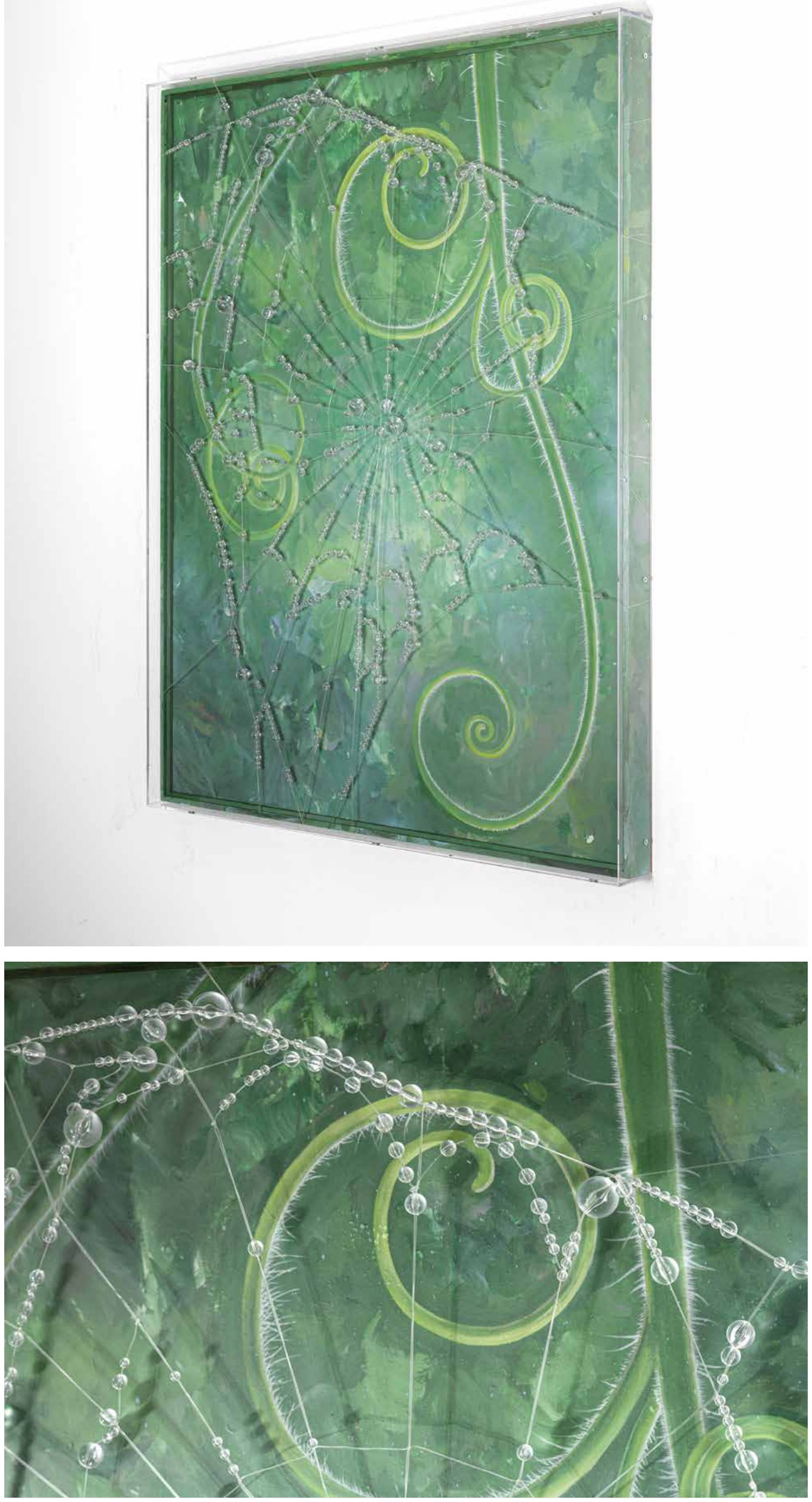 still life《露珠研究3》
