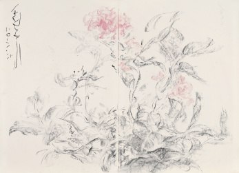 花儿