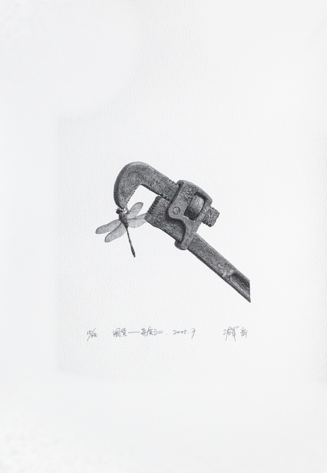 冷军（b.1963）国货-异质之二