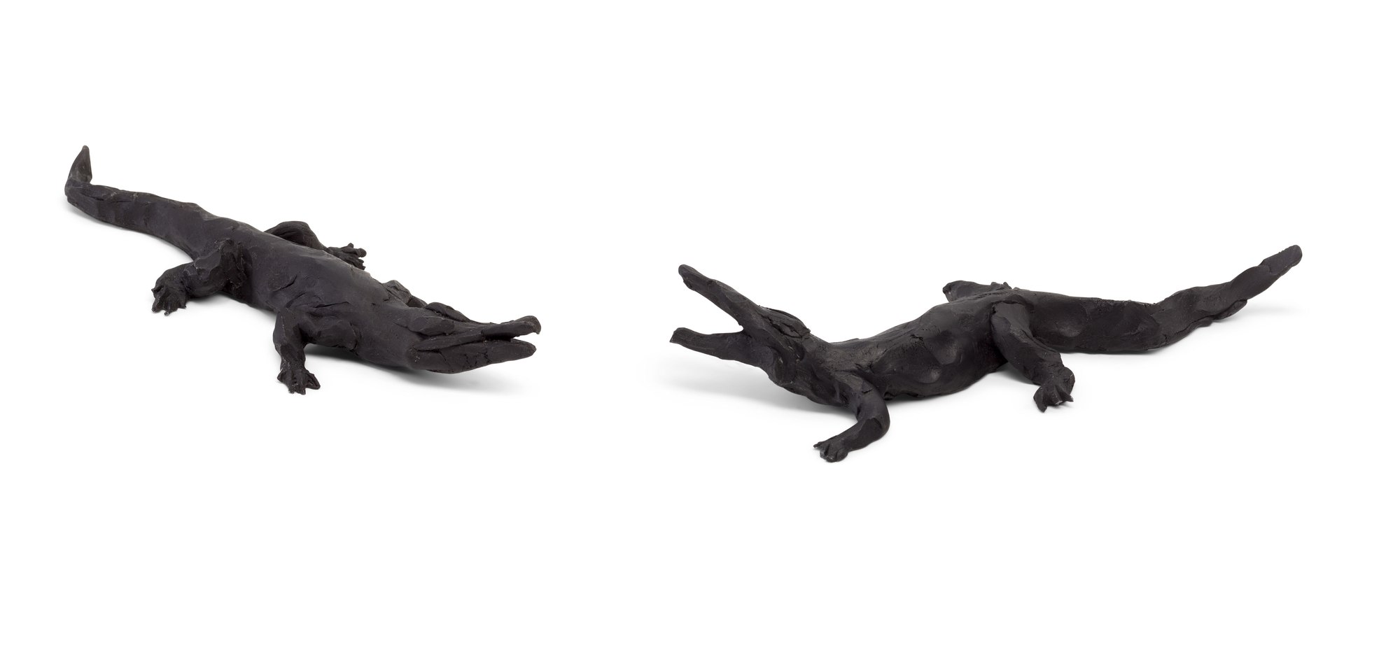 Alligators