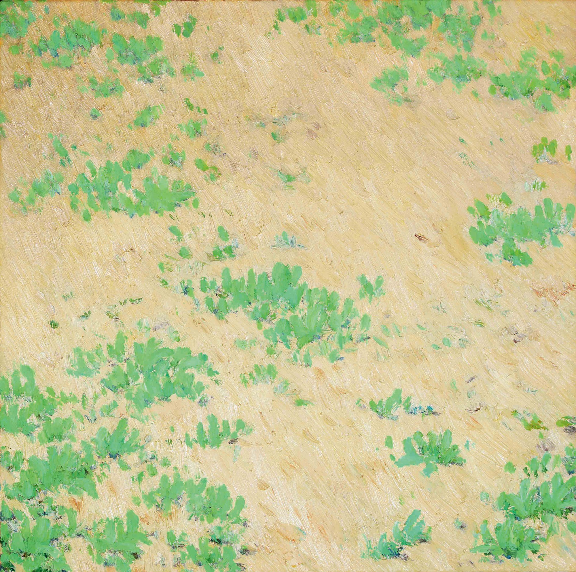 野草