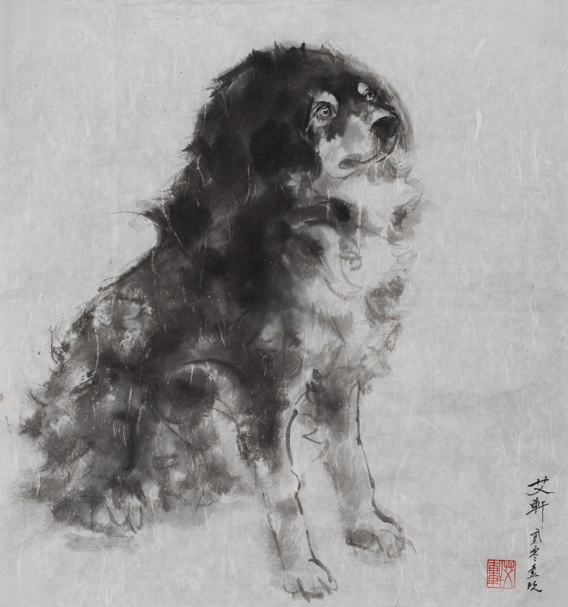 小狗