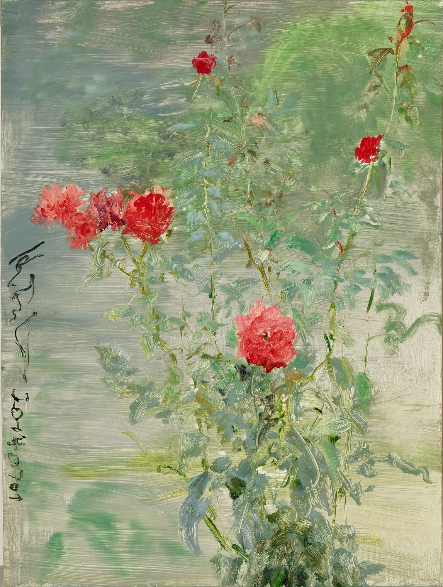 杂花
