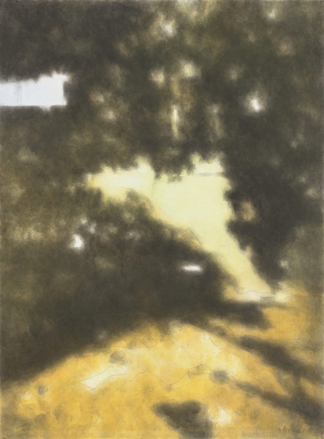 Shadow of the Trees