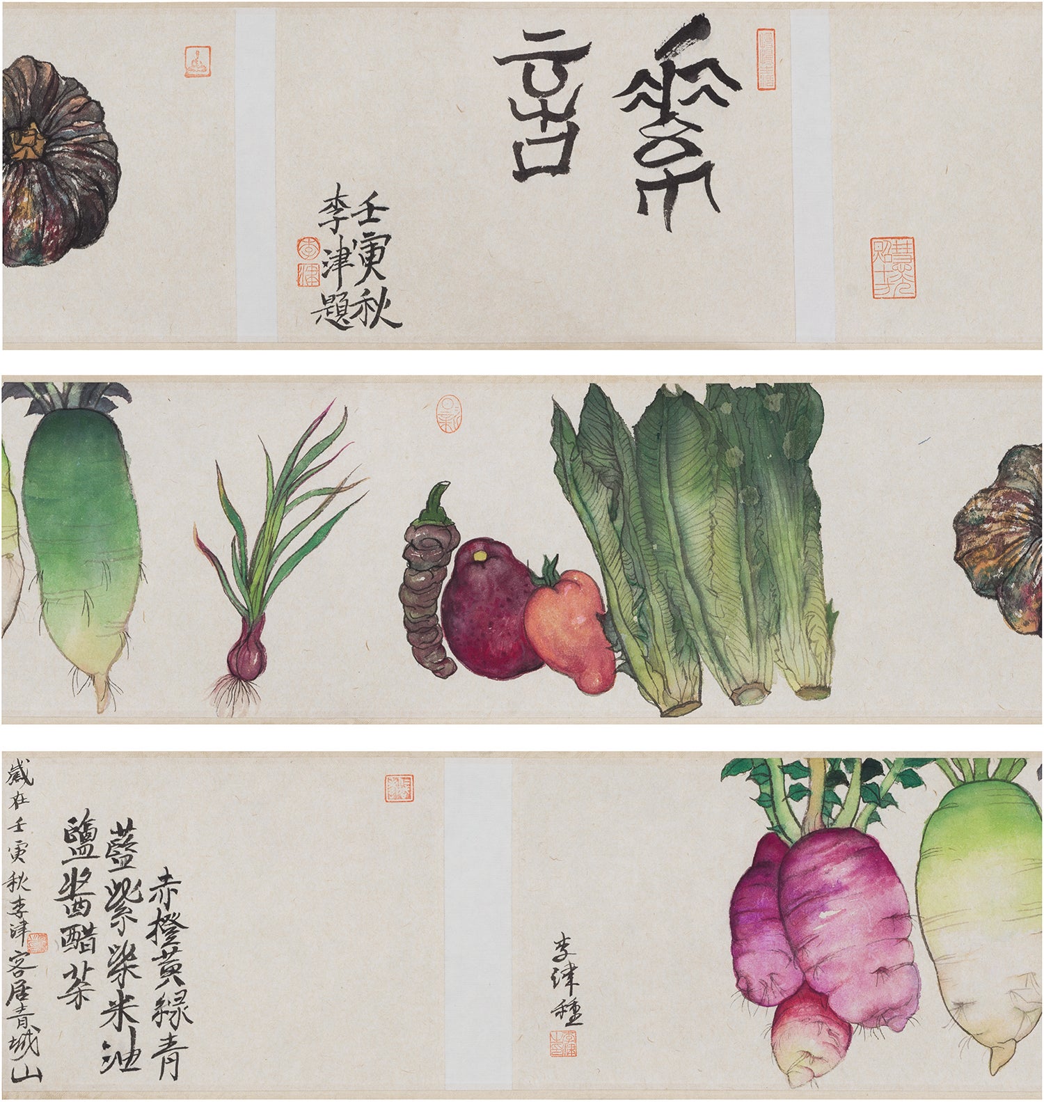 Our Vegetables