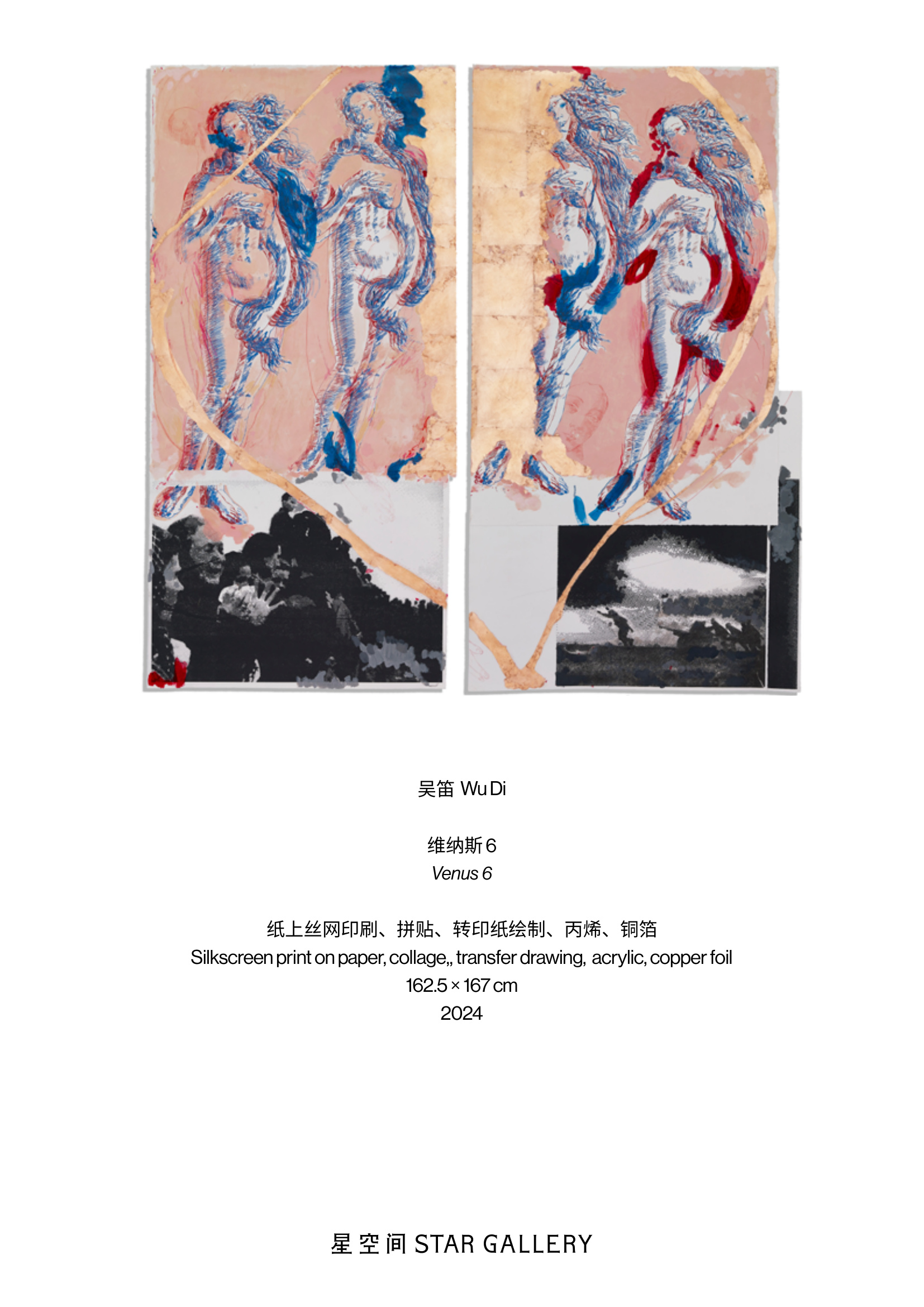 在纸上(纸本 装置）《维纳斯 6》
