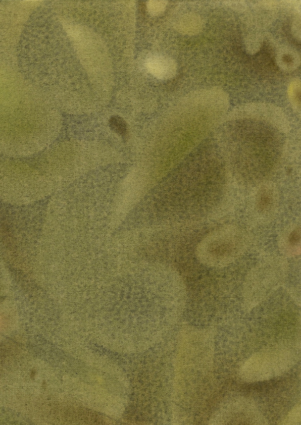 共食者 展览现场 Symbiotic Friend