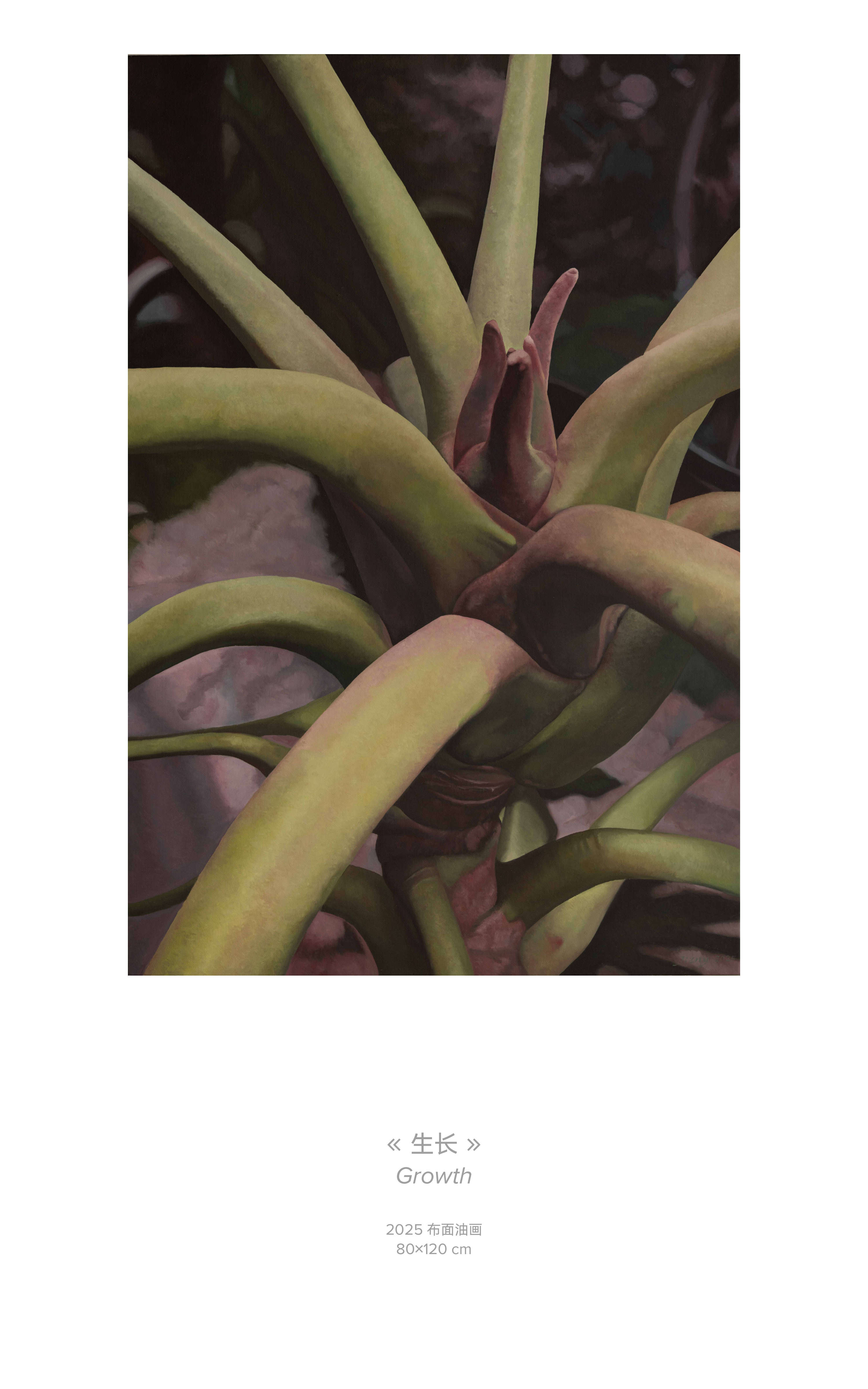 植腑 翼图《生长》