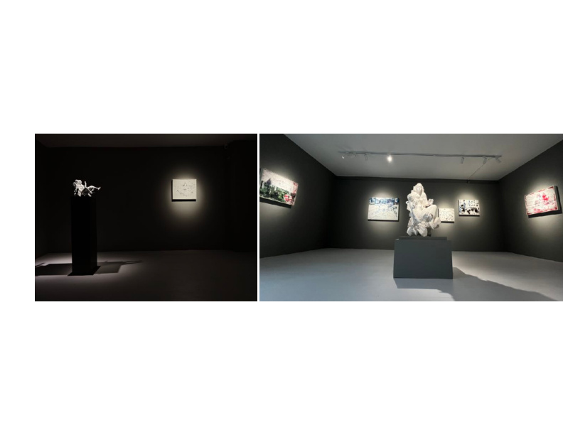 游鱼和飞鸟 展览现场 Silent Sea and Winged Sky