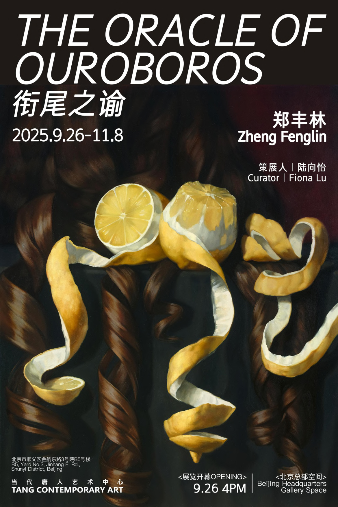 个展 衔尾之谕