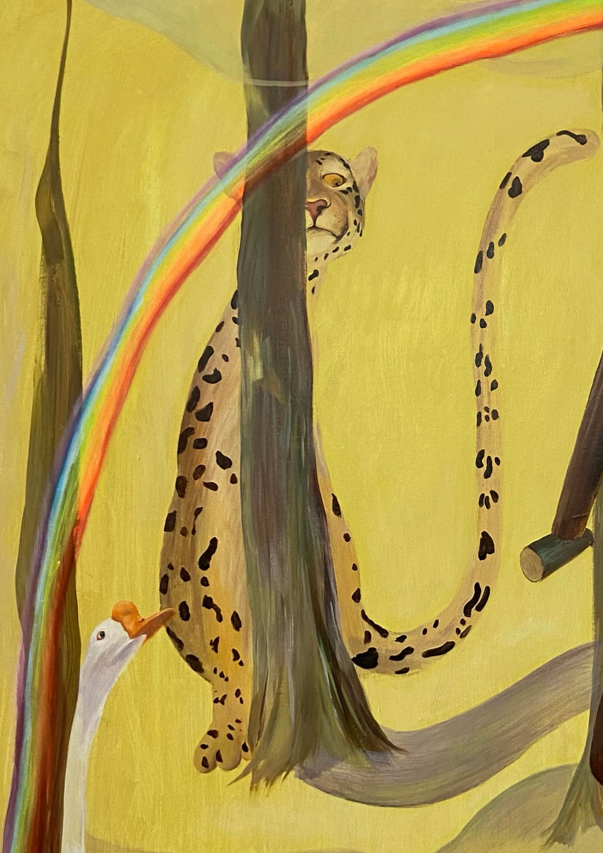 个人作品集-藏猫猫俱乐部