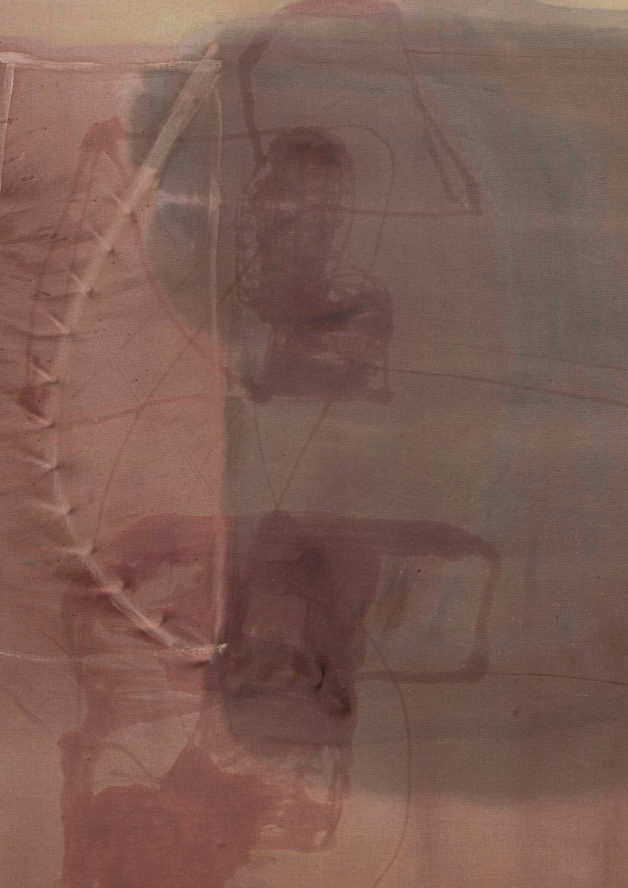 杨扬艺术家档案